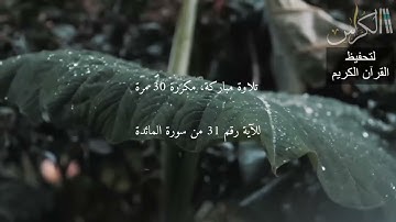 الآية رقم 31 من سورة المائدة مكررة 30 مرة