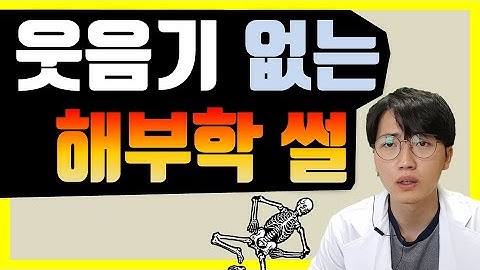 농담이 불가능한 해부학 이야기