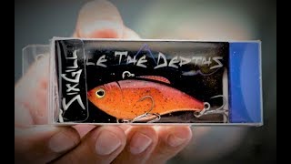 Sixgill Lure Bites | Lipless Crank Baits, The Best Lure For Fishing In The Fall! screenshot 4
