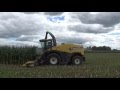 Chopping Corn Silage near Winchester Indiana at Union Go Dairy