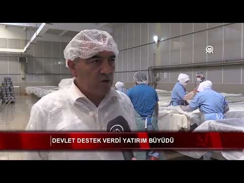 Devlet destek verdi yatırım büyüdü