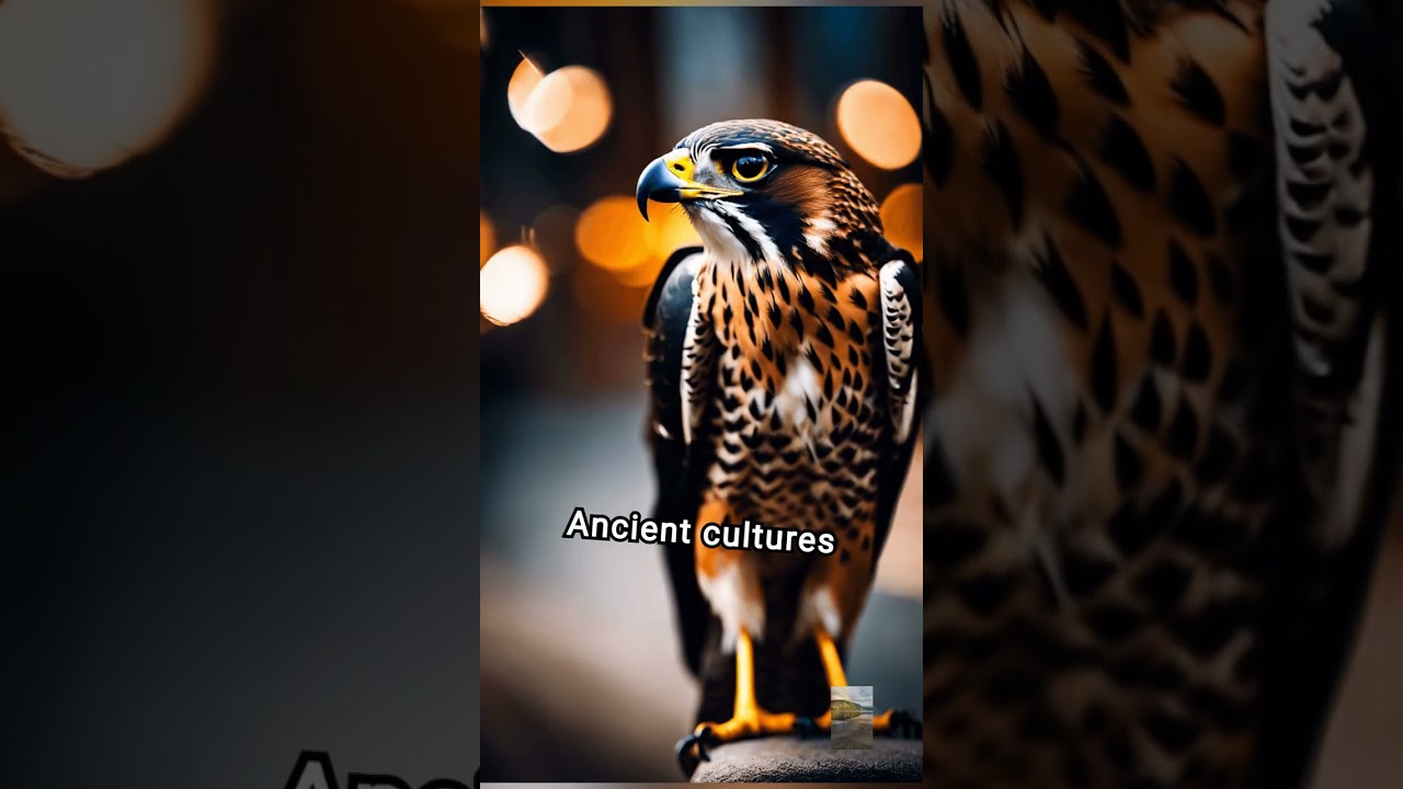 Falcon Facts That Will Leave You Astonished! 