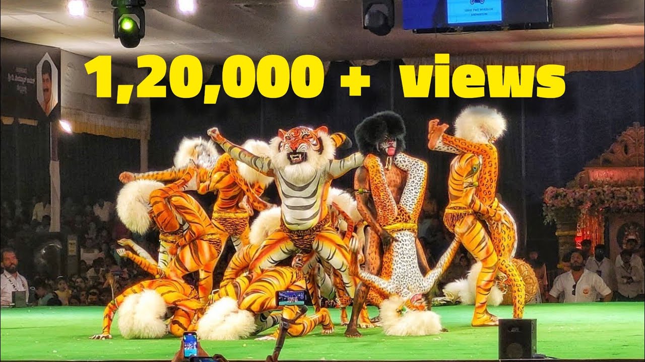 POLALI TIGERS TIGER DANCE  PILI PARBA 2023  PURALDA APPENA MOKEDA BOLLILU