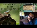 WILDLIFE PHOTOGRAPHY | PHOTOGRAPHING GARDEN & WOODLAND BIRDS | Tips & Tricks when using a Hide