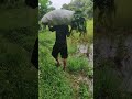 Tetap semangat untuk ku cari rumput#shorts