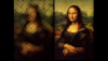 Self-organizing map replicates the Mona Lisa