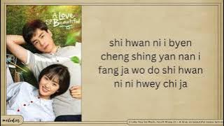 I Like You So Much, You'll Know It - A love so beautiful (easy lyrics)