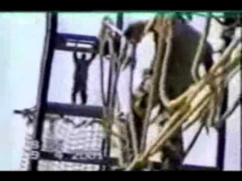 هتجند   الجيش المصري