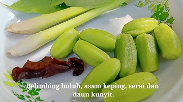Vlog 5. Tajur Ikan Baung Sungai 4 (catch and cook)