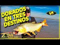 Pesca de Dorados en Paso de la Patria. Pesca de Dorado en Ituzaingó. Pesca de Dorado en Reconquista.