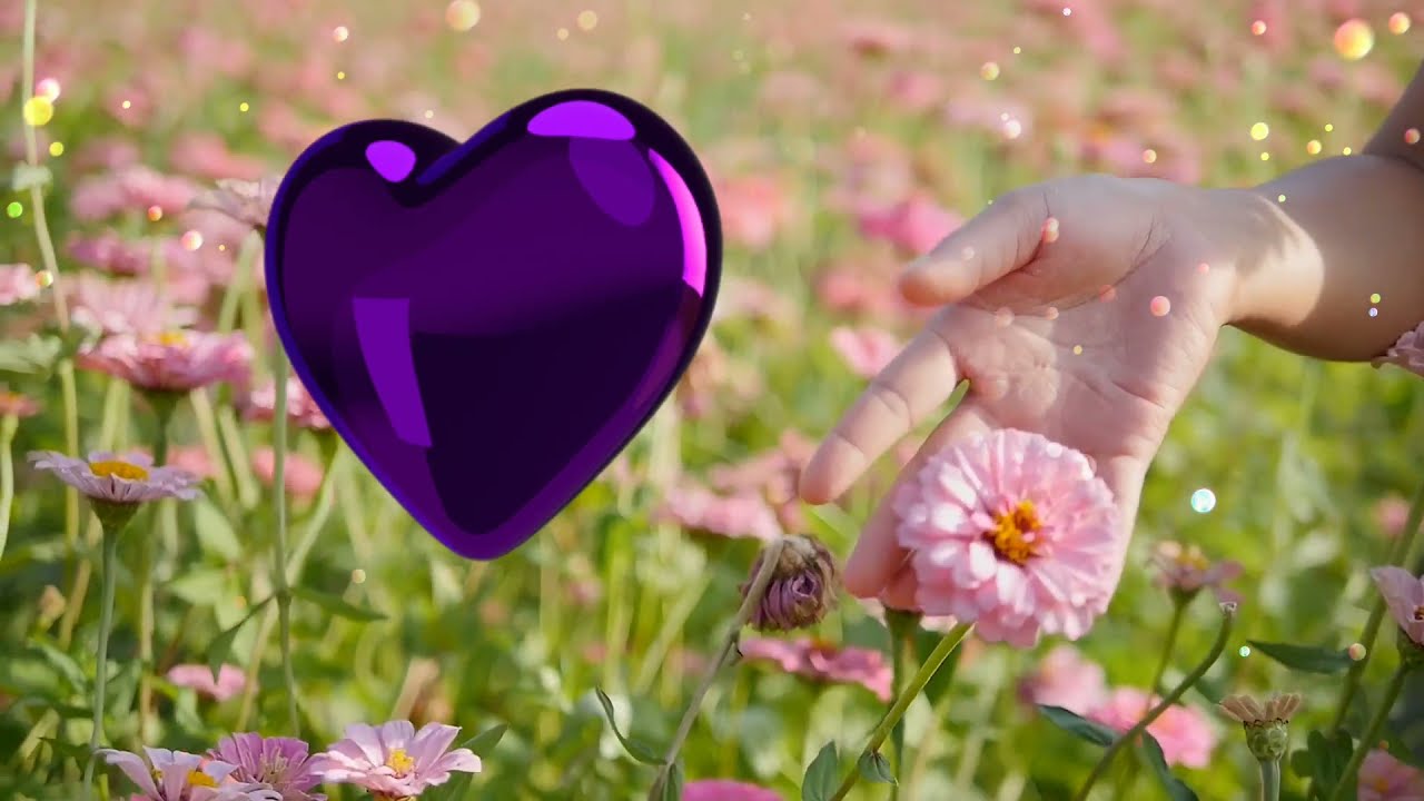 Relax With Nature [24]  FLOWER WATCH with classical Musical Meditation