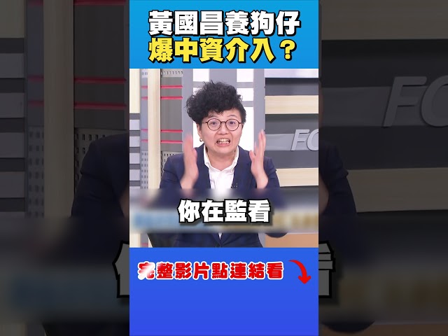 水很深？她曝：黃國昌狗仔隊疑中資介入