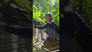 Amazing Bamboo Building Skills You Have to See!