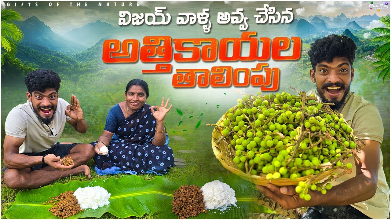 విజయ్ వాళ్ళ అవ్వ అత్తికాయల తాలింపు చేసింది🌳 || ఈ తాలింపు ఆరోగ్యానికి చాలా మంచిది😍