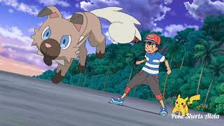 Rockruff Vs Lycanroc