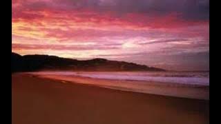 Frida Hallgren - fly with me (lenas song)