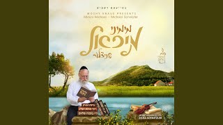 Reb Shayele