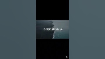 تلاوة هادئة تلامس القلب | سورة الرحمن (19-25) بصوت عمير شميم #سورة_الرحمن #تلاوة_هادئة #قرآن #quran
