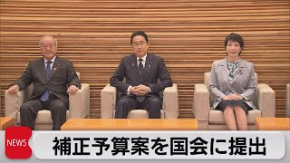 13兆円超の補正予算案を国会提出（2023年11月20日）