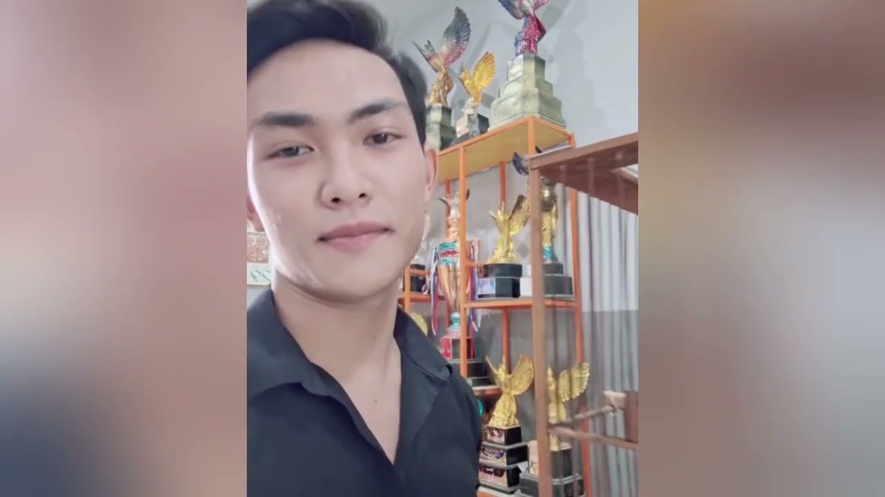 Cách khắc phục chim Cắn Đuôi/Cắn Chân/Cắn Lông/Cắn Nan