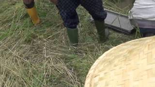 20150614　012　　田植え　道具説明