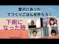 下痢になった時の手作りごはんのあたえ方