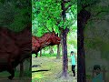 ￼friend, your hero has become a fool animals video of him entering the tree #youtubeshorts #trending