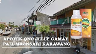 Apotek QnC Jelly Gamat Palumbonsari Karawang - Jawa Barat