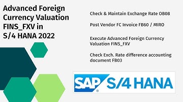 Advanced Foreign Currency Valuation (FINS_FXV) in S/4 HANA 2022