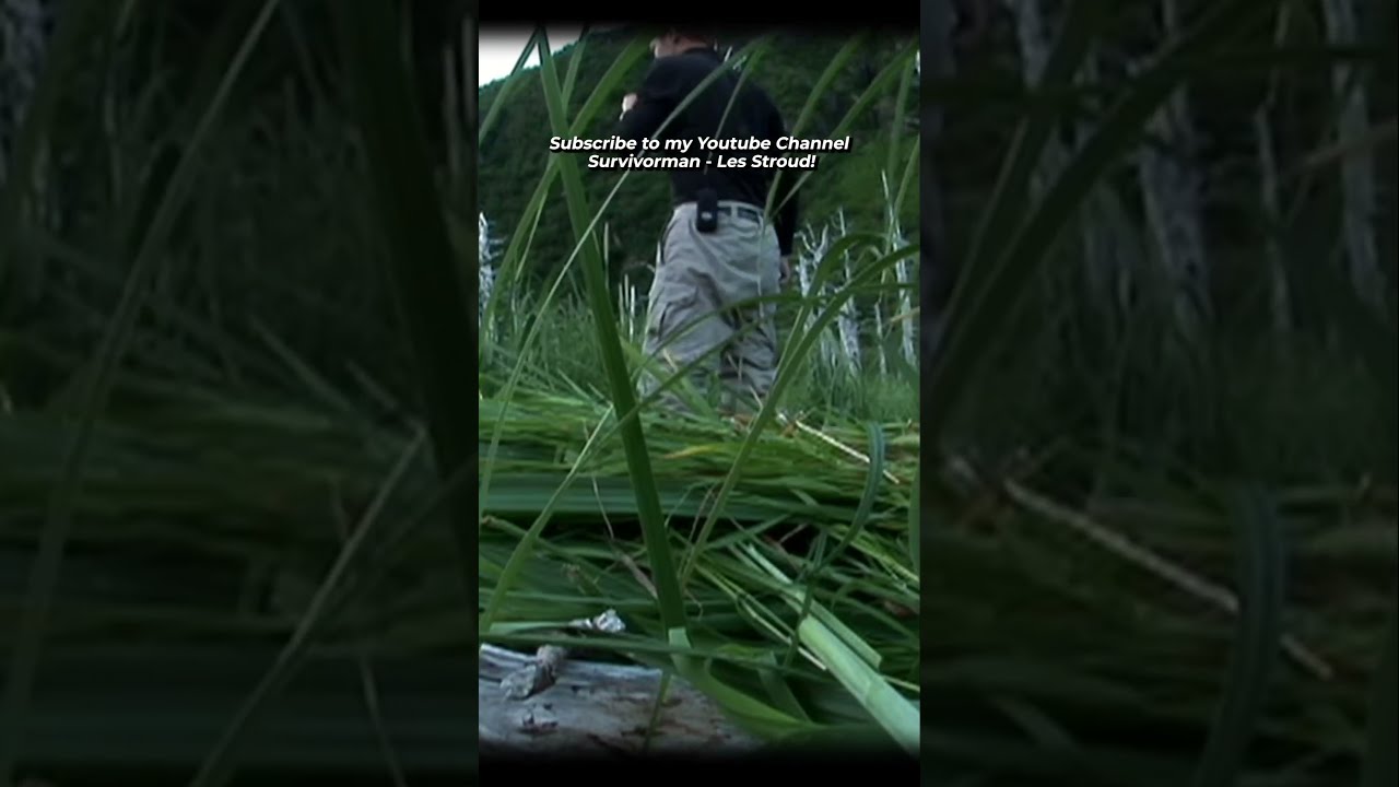 Survivorman My Encounter With Bigfoot In Alaska Les Stroud