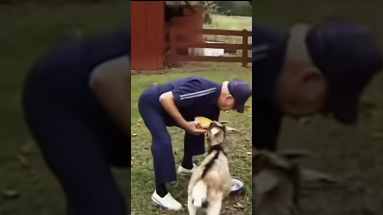 Jimmy Martin named his PET GOAT “Vernon”