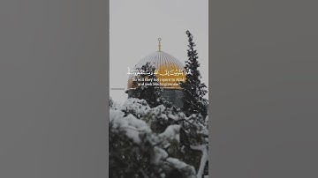 ﴿أفلا يتوبون إلى الله ويستغفرونه والله غفور رحيم﴾ سورة المائدة | محمد اللحيدان