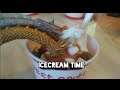 Mecha king ghidorah gets icecream