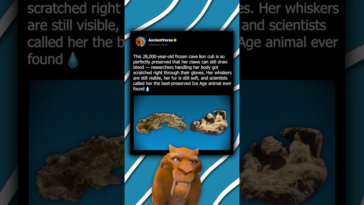 Her Claws Can Still Draw Blood After 28,000 Years