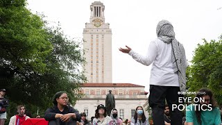 What pro-Palestinian protesters are demanding from the UT System