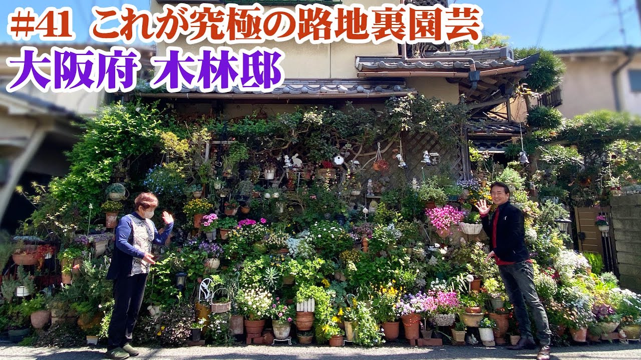 【お庭訪問】第41回 通行人が必ず足を止める！路地裏園芸の醍醐味が詰まった木林邸【個人邸の庭】