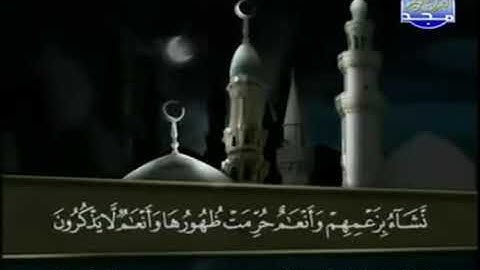 القرآن الكريم الجزء الثامن (8) الشيخ عبد الباسط عبد الصمد