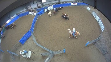 Big Sky Ranch Sorting Saddle Series Finals - #7 HC - Round #1 - Ride #40