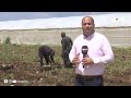 زاد الأرض الحلقة 6