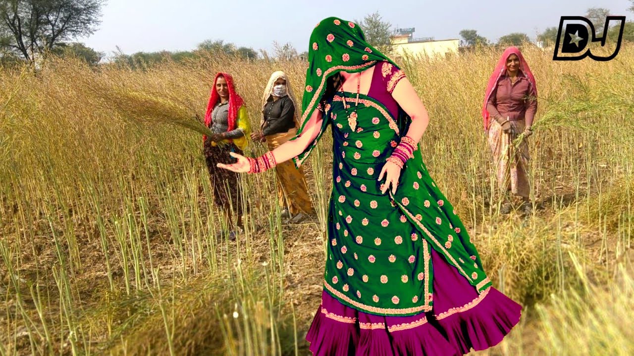 2026सरसों लावणी आगी.💥sarson katai न्यूसोंग/