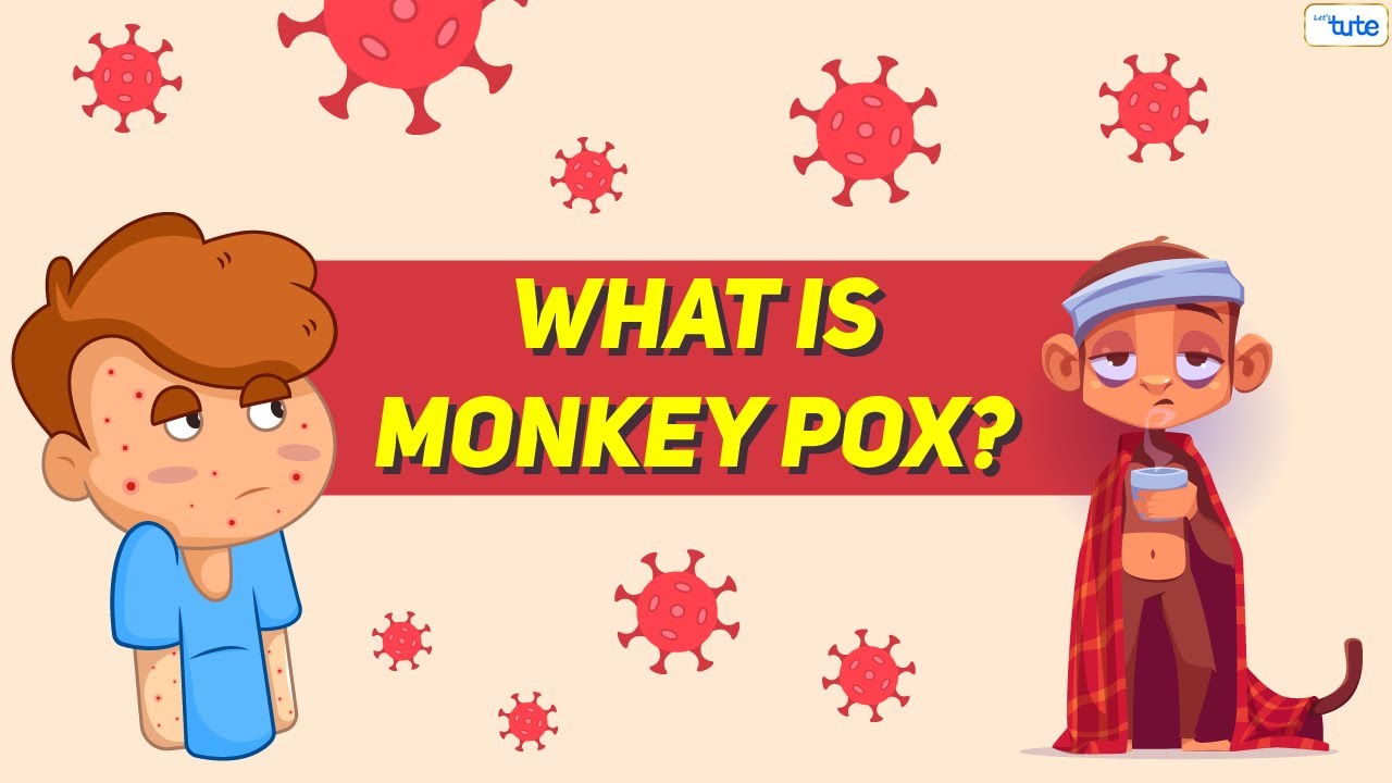 what is monkeypox? | Monkeypox explained | is monkeypox real | letstute | monkeypox.
