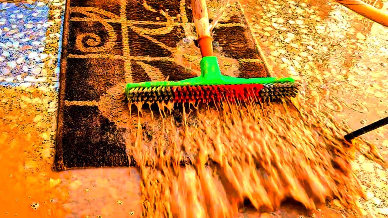 Pleasant carpet cleaning the good feeling of cleaning the carpet🤩