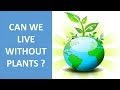 Importance of plants in our life  uses of plants  can we live without plants  science