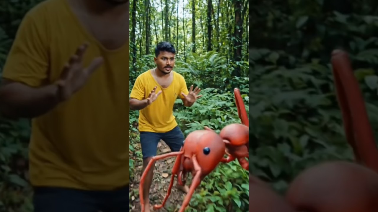 I went for a walk in the woods and there I was attacked bi Ant 🐜🐜🐜