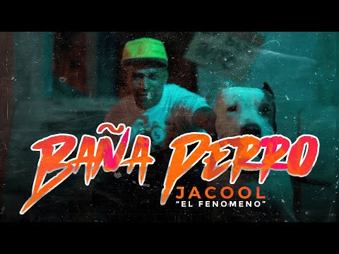 Jacool - Baña Perro 4K 🧼🐕