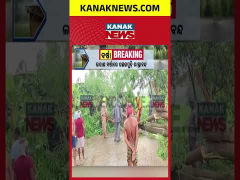 ରାସ୍ତାରେ ଗଛ, ବିଦ୍ୟୁତ ଠପ୍ Balipatna Rain Update | Storm Uproots Trees, 11KV Power Line Damaged