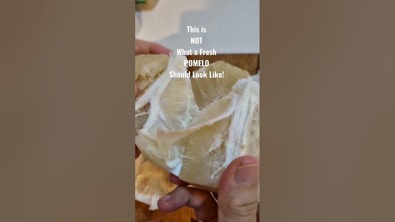 How To Tell When a POMELO Goes Bad YouTube