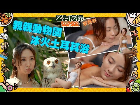 吃貨橫掃曼谷 ｜親親動物園 冰火土耳其浴 ｜ 高海寧 | 彭慧中 | 陳星妤