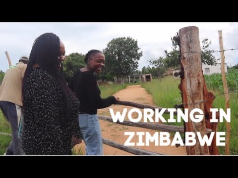 job for me 4 hours zimbabwe