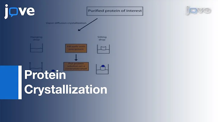 Protein Crystallization for X-ray Crystallography